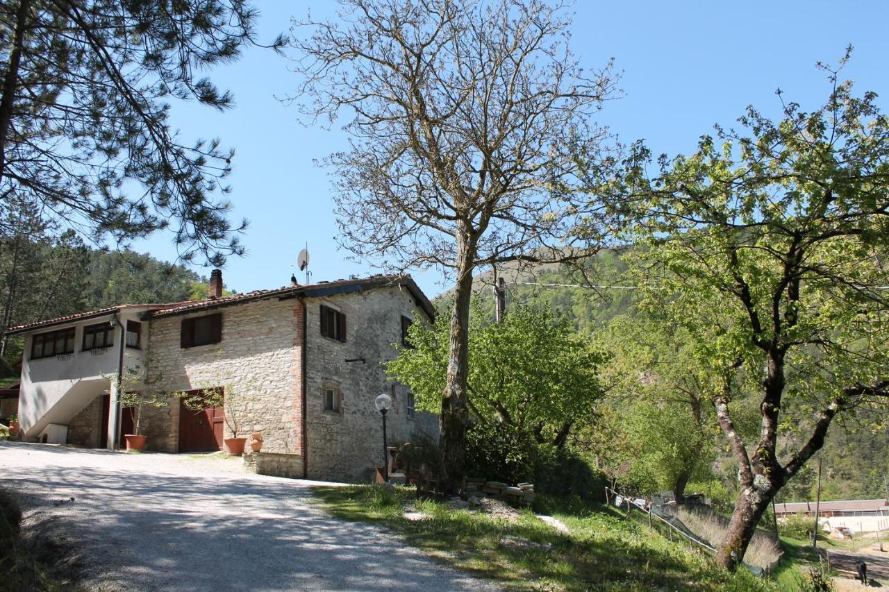 B&B Paradiso Gubbio Eksteriør bilde