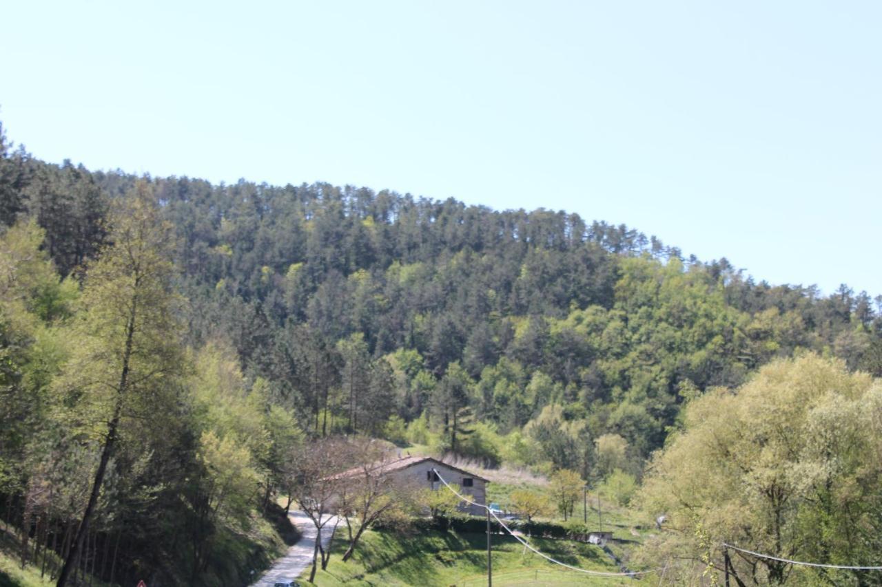 B&B Paradiso Gubbio Eksteriør bilde
