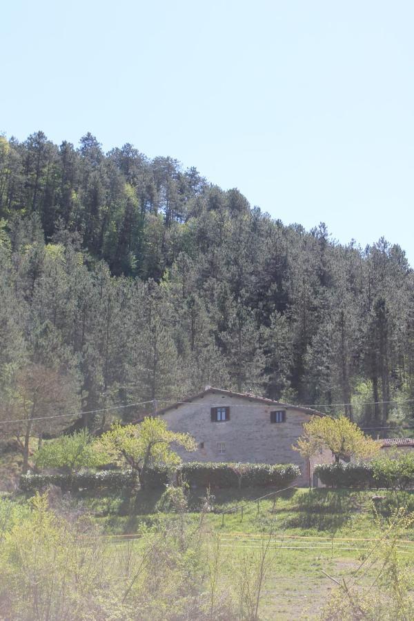 B&B Paradiso Gubbio Eksteriør bilde