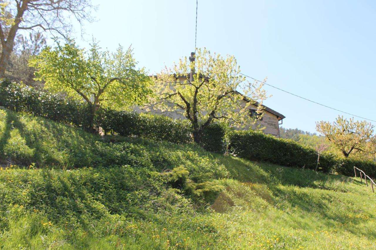 B&B Paradiso Gubbio Eksteriør bilde