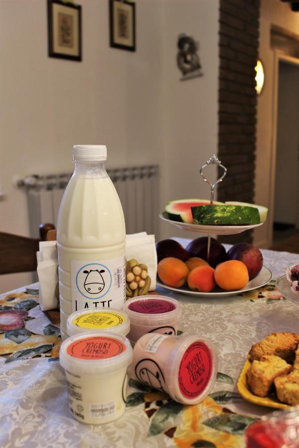 B&B Paradiso Gubbio Eksteriør bilde